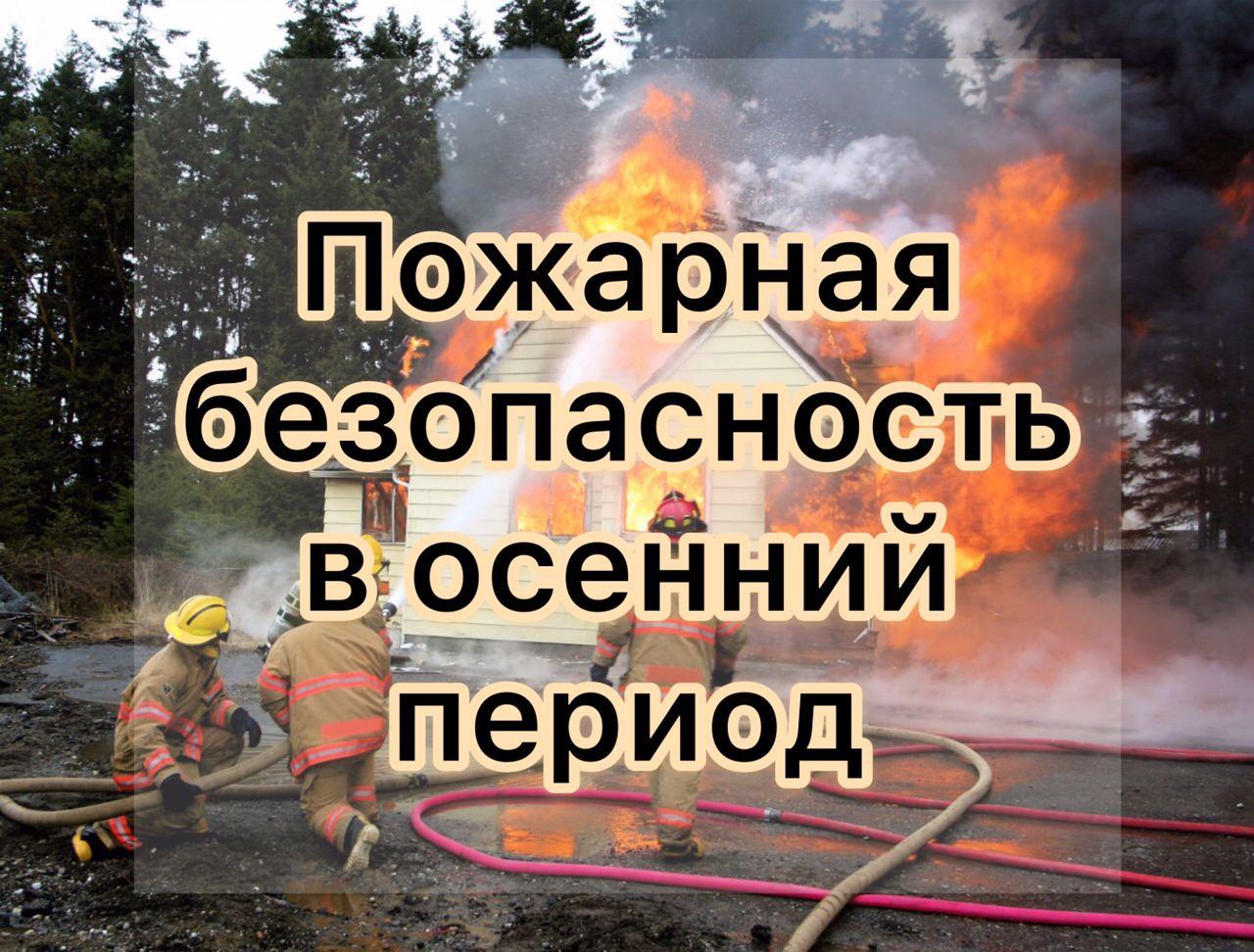 d543198df014e0939d6c891eb4d599b3.jpg